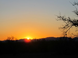 Palo Verde sunrise