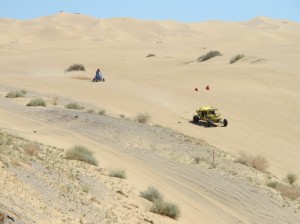 Dune buggies