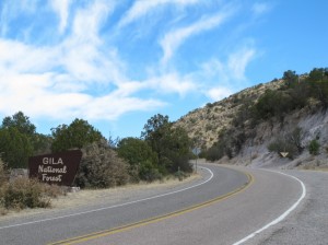 Gila National Forest