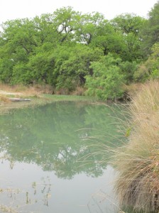 Creek at the Ranch